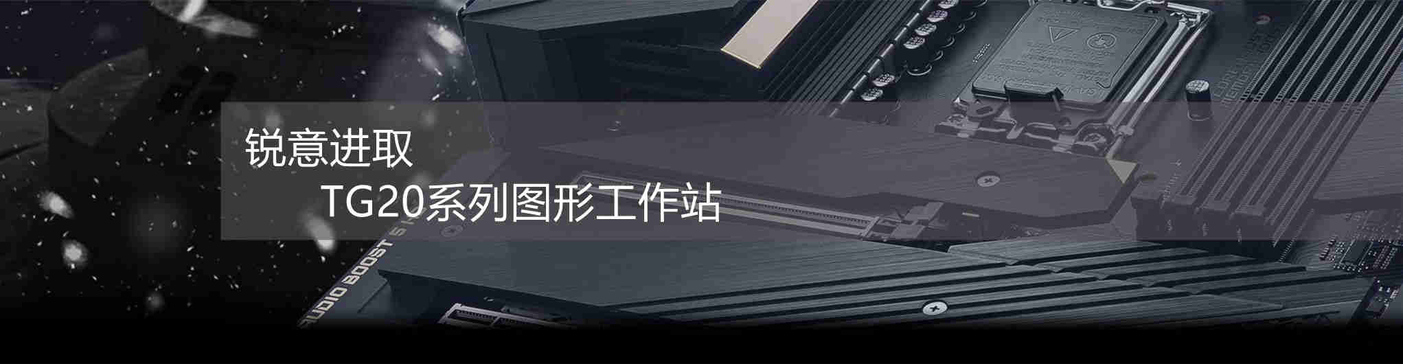 扬芯